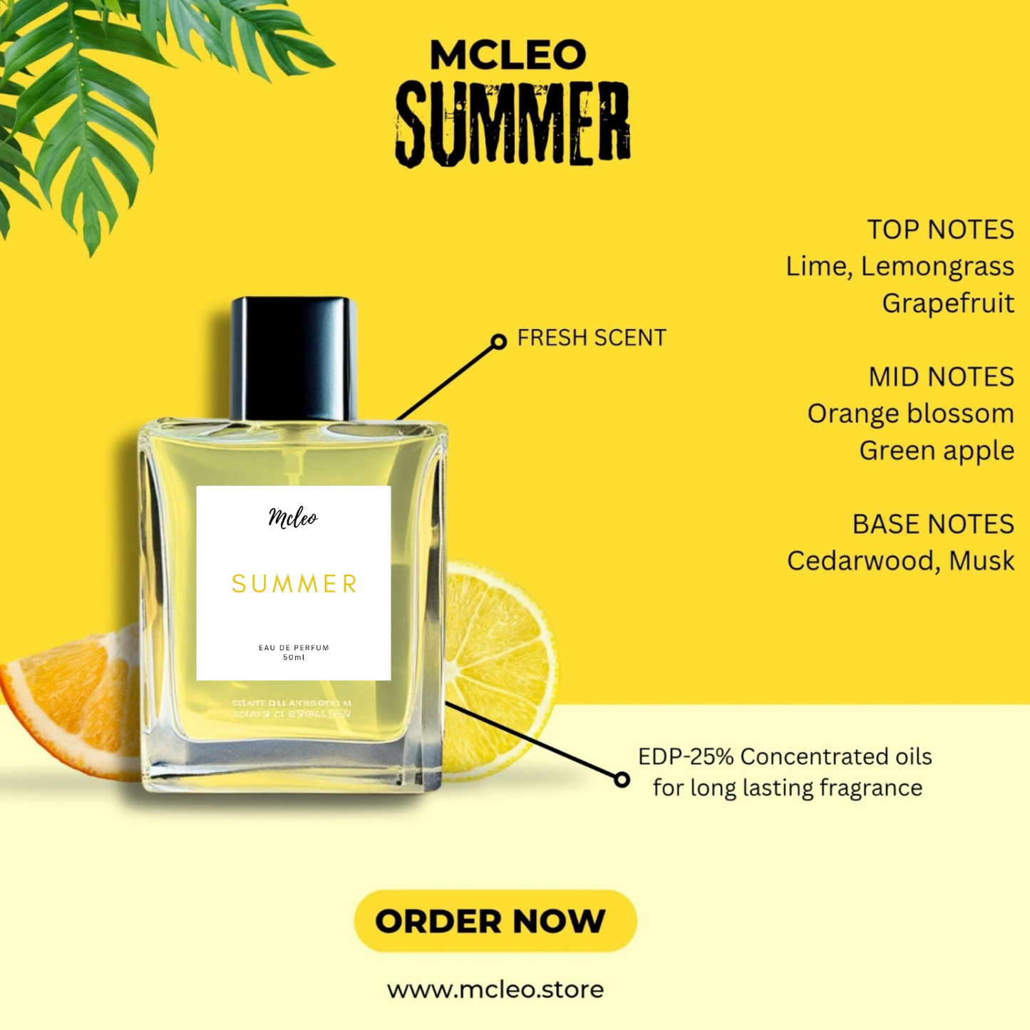 Mcleo SUMMER